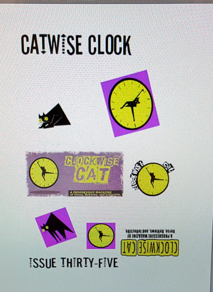 catwise-cover