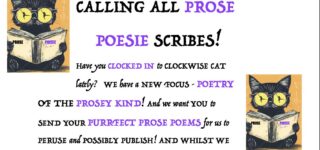 CALL FOR SUBMISSIONS: PROSE POESIE!!