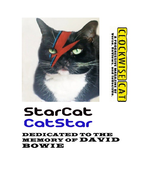 starcat-catstar